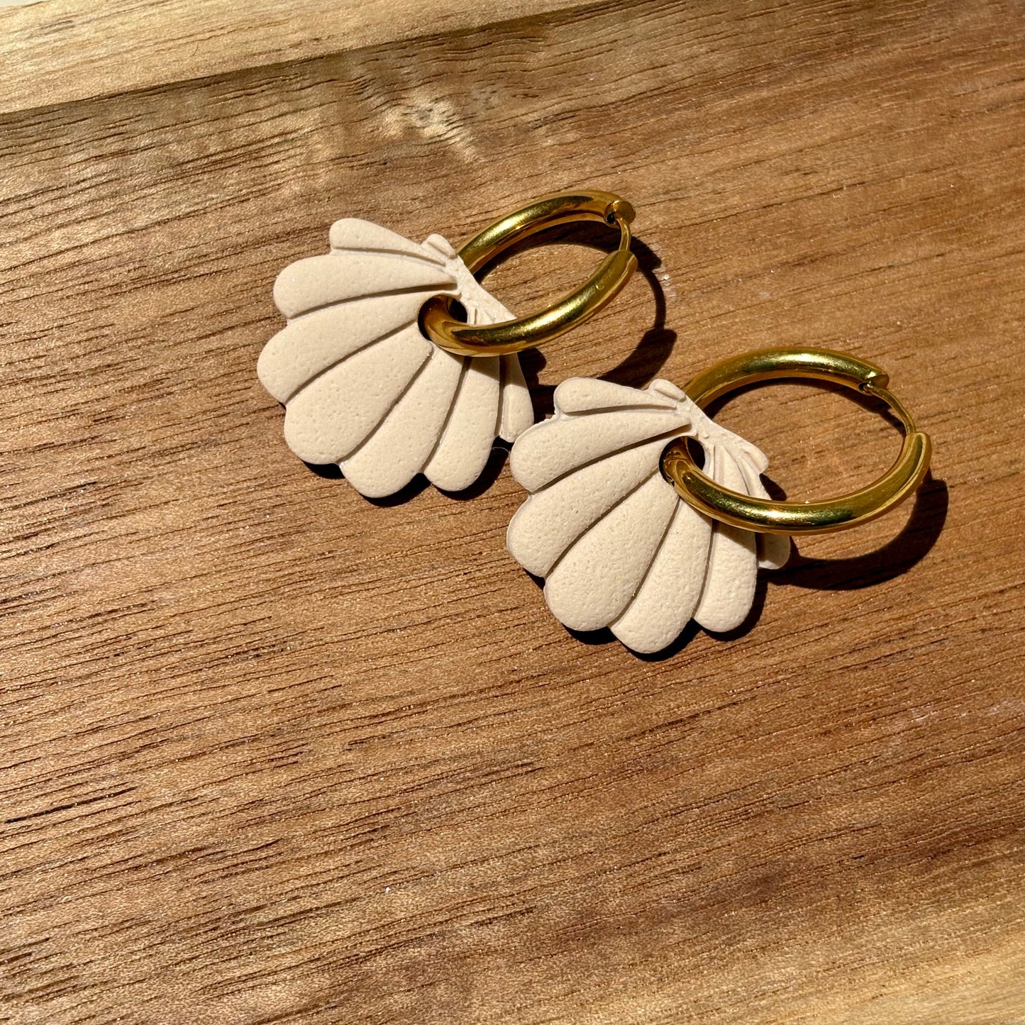 Coquillage sable
